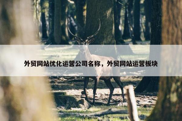 外贸网站优化运营公司名称，外贸网站运营板块