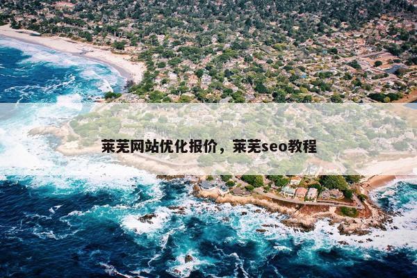 莱芜网站优化报价，莱芜seo教程