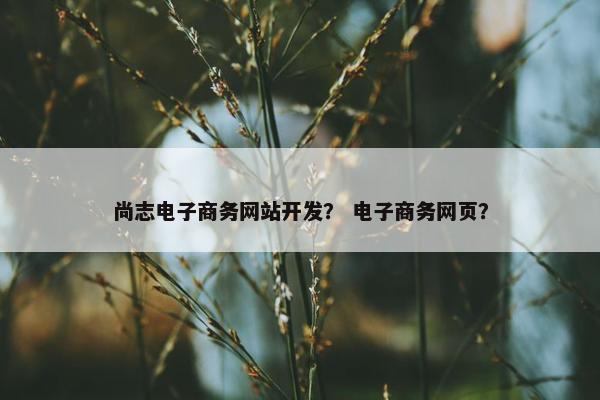 尚志电子商务网站开发？ 电子商务网页？