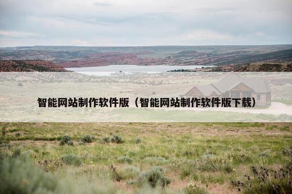 智能网站制作软件版（智能网站制作软件版下载）