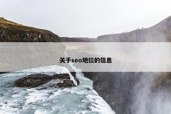 关于seo地位的信息