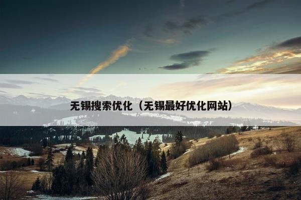 无锡搜索优化（无锡最好优化网站）