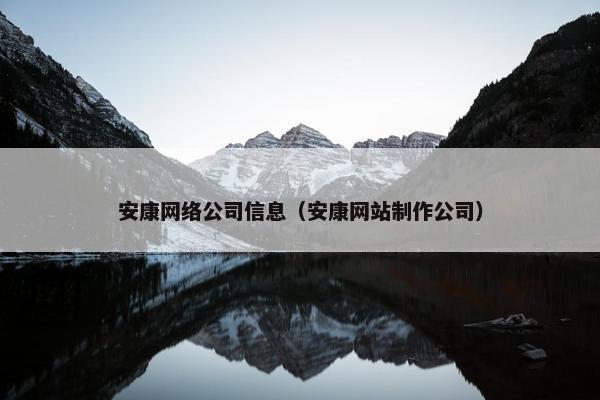 安康网络公司信息（安康网站制作公司）