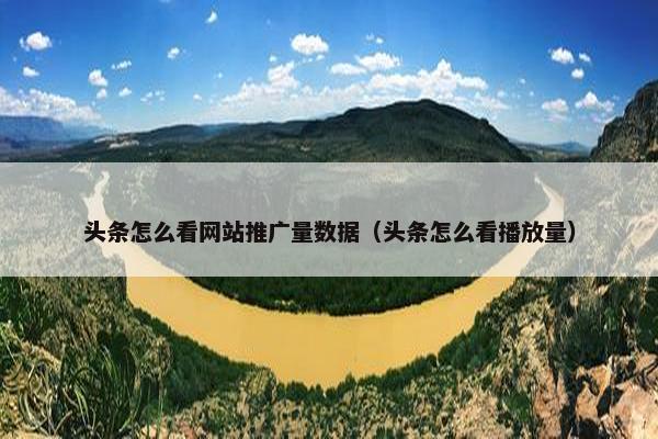 头条怎么看网站推广量数据（头条怎么看播放量）