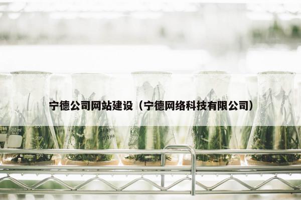 宁德公司网站建设（宁德网络科技有限公司）