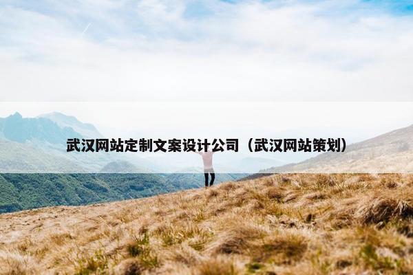武汉网站定制文案设计公司（武汉网站策划）
