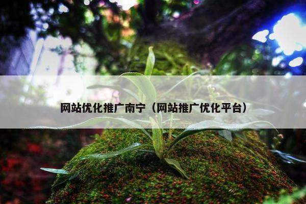 网站优化推广南宁（网站推广优化平台）