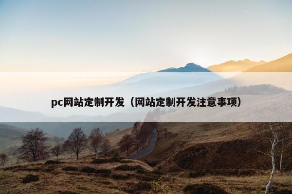 pc网站定制开发（网站定制开发注意事项）