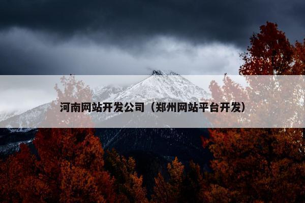 河南网站开发公司（郑州网站平台开发）