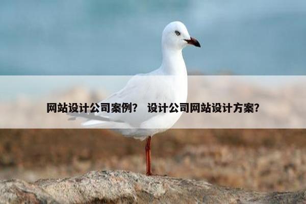 网站设计公司案例？ 设计公司网站设计方案？