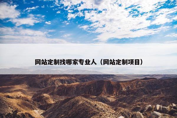 网站定制找哪家专业人（网站定制项目）