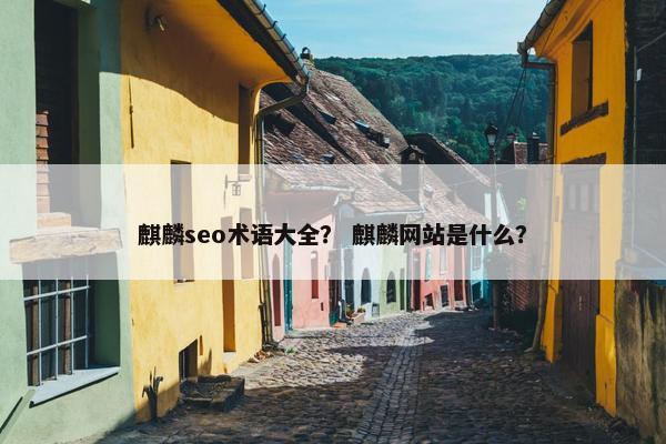 麒麟seo术语大全？ 麒麟网站是什么？