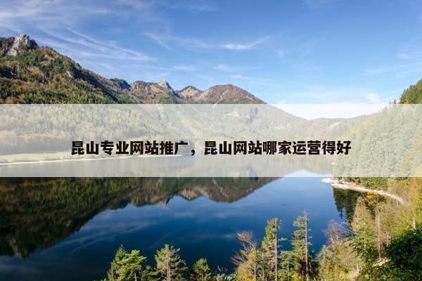 昆山专业网站推广，昆山网站哪家运营得好