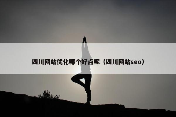 四川网站优化哪个好点呢（四川网站seo）