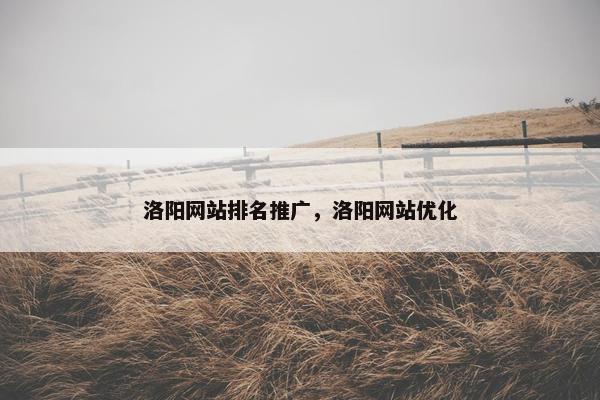 洛阳网站排名推广，洛阳网站优化