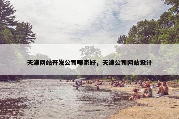 天津网站开发公司哪家好，天津公司网站设计