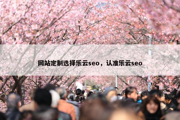 网站定制选择乐云seo，认准乐云seo