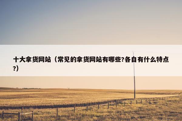 十大拿货网站（常见的拿货网站有哪些?各自有什么特点?）