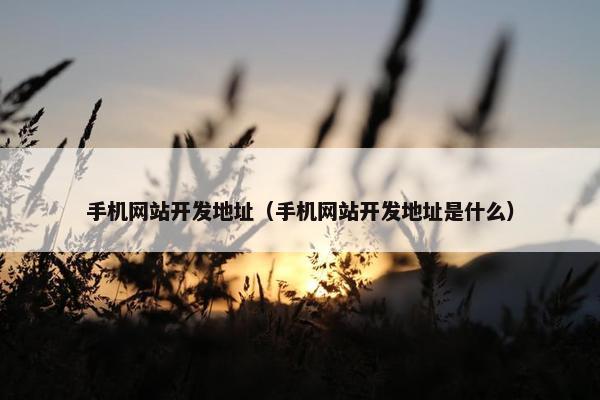 手机网站开发地址（手机网站开发地址是什么）