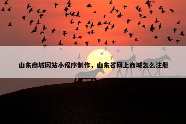 山东商城网站小程序制作，山东省网上商城怎么注册