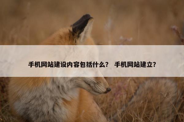 手机网站建设内容包括什么？ 手机网站建立？