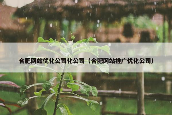 合肥网站优化公司化公司（合肥网站推广优化公司）