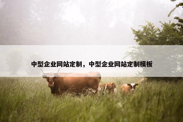 中型企业网站定制，中型企业网站定制模板