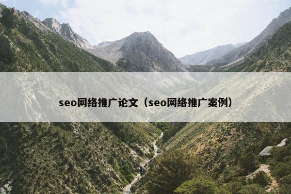 seo网络推广论文（seo网络推广案例）
