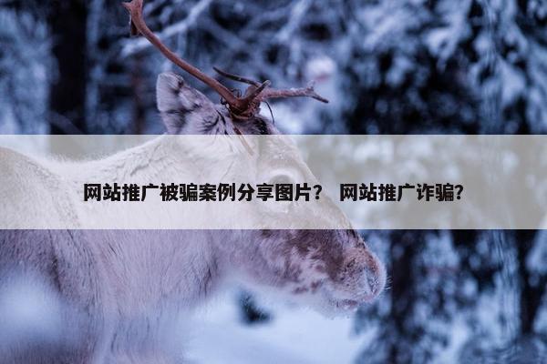 网站推广被骗案例分享图片？ 网站推广诈骗？