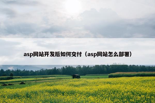 asp网站开发后如何交付（asp网站怎么部署）