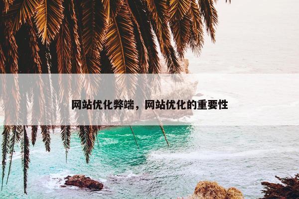 网站优化弊端，网站优化的重要性