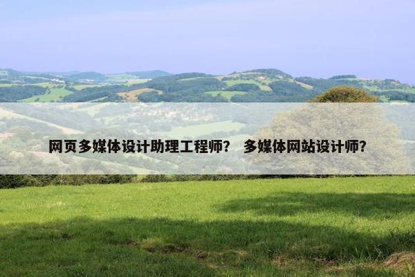 网页多媒体设计助理工程师？ 多媒体网站设计师？