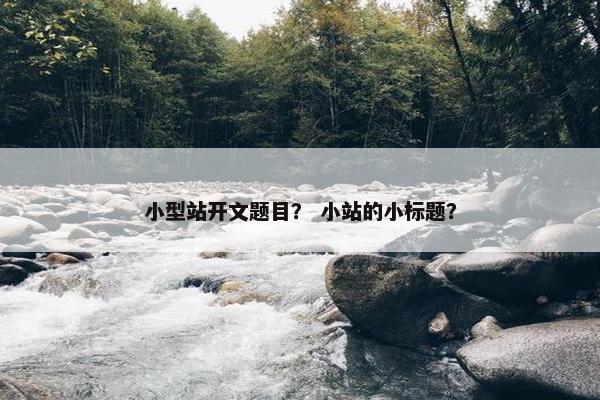 小型站开文题目？ 小站的小标题？