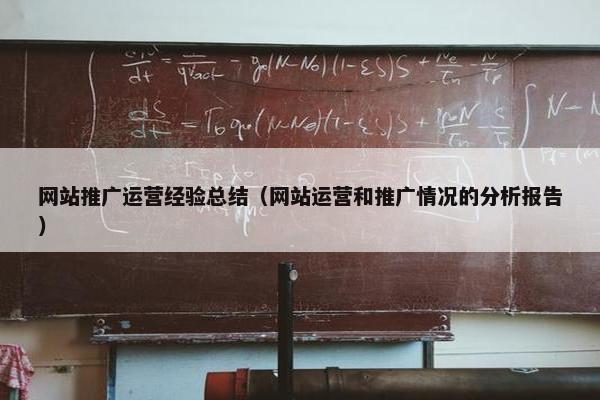 网站推广运营经验总结（网站运营和推广情况的分析报告）
