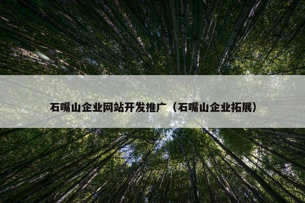 石嘴山企业网站开发推广（石嘴山企业拓展）