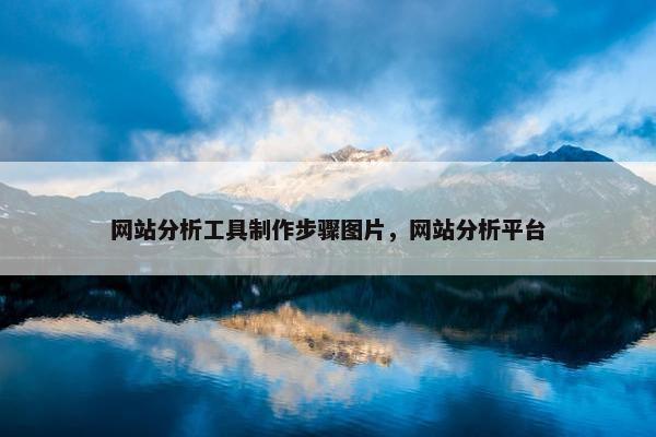 网站分析工具制作步骤图片，网站分析平台