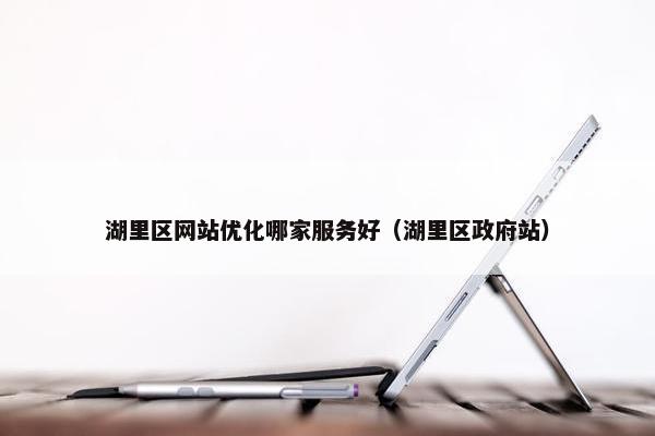 湖里区网站优化哪家服务好（湖里区政府站）