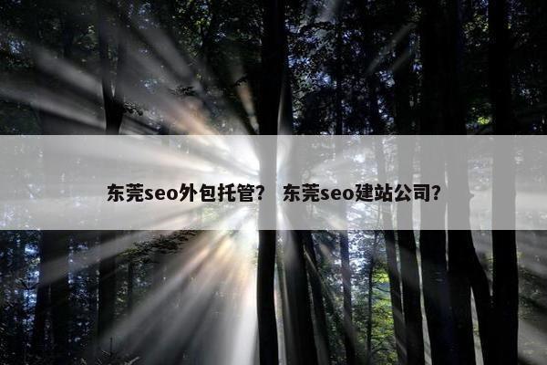 东莞seo外包托管？ 东莞seo建站公司？