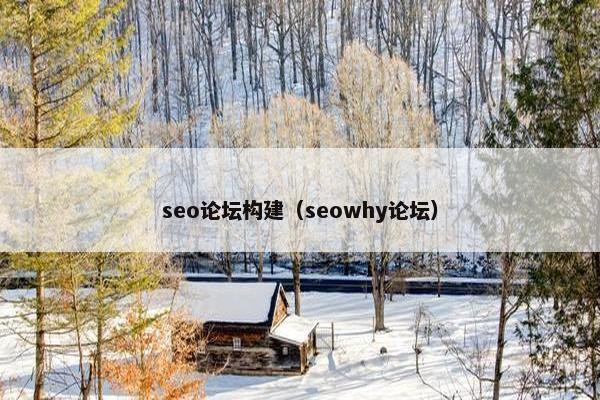 seo论坛构建（seowhy论坛）