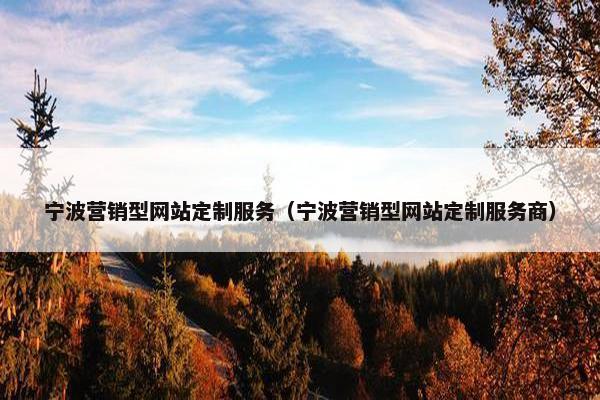宁波营销型网站定制服务（宁波营销型网站定制服务商）