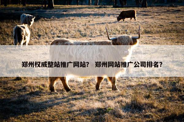 郑州权威整站推广网站？ 郑州网站推广公司排名？