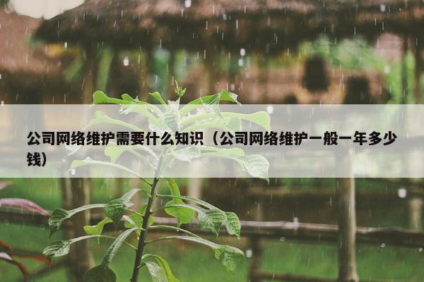 公司网络维护需要什么知识（公司网络维护一般一年多少钱）