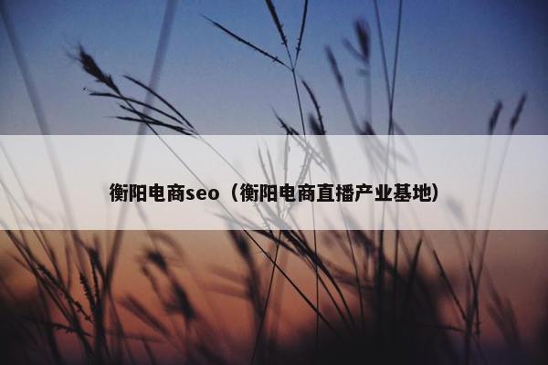 衡阳电商seo（衡阳电商直播产业基地）