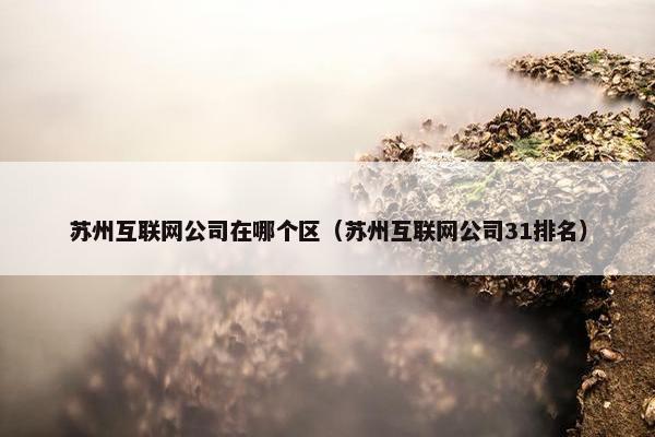 苏州互联网公司在哪个区（苏州互联网公司31排名）
