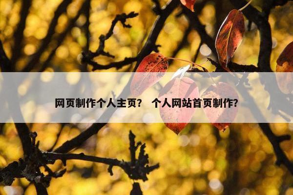 网页制作个人主页？ 个人网站首页制作？