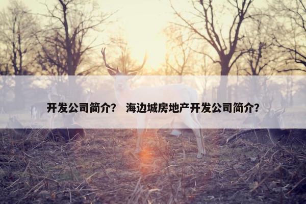 开发公司简介？ 海边城房地产开发公司简介？