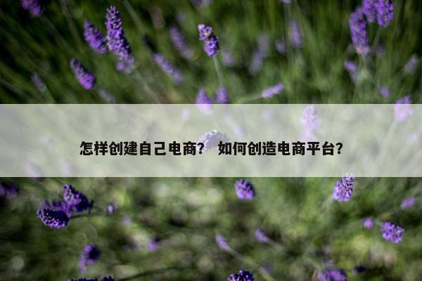 怎样创建自己电商？ 如何创造电商平台？