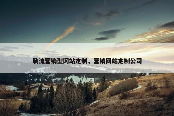 勒流营销型网站定制，营销网站定制公司