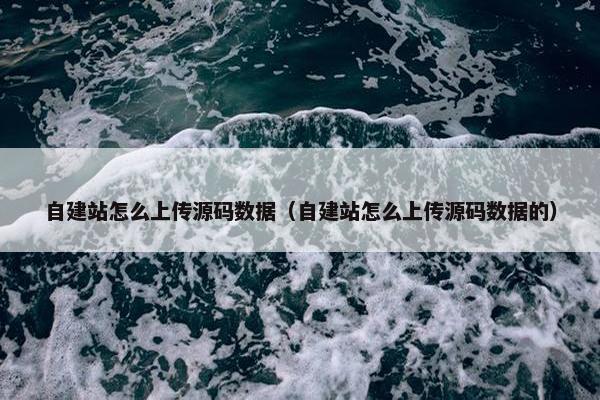 自建站怎么上传源码数据（自建站怎么上传源码数据的）
