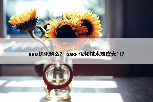 seo优化难么？ seo 优化技术难度大吗？